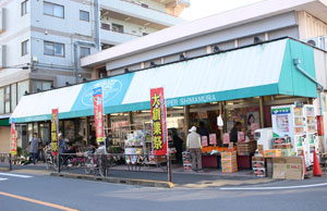 mizumoto1g